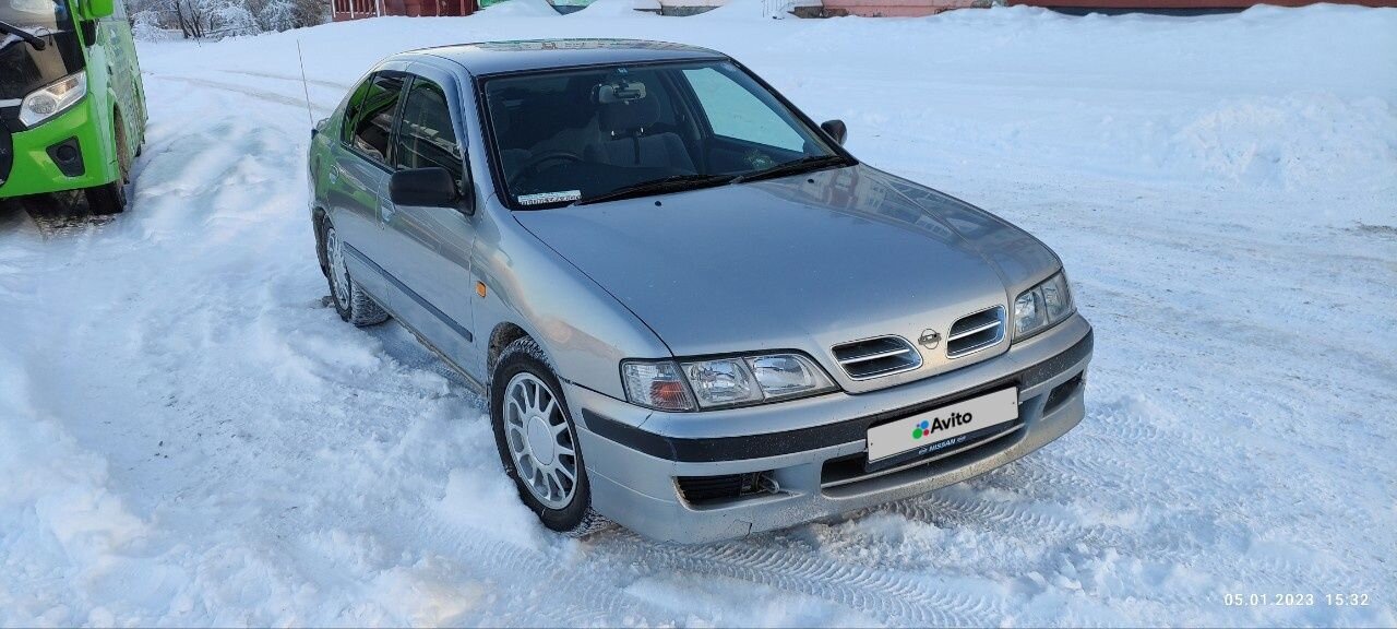 Nissan Primera: фото владельца