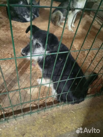 Так выглядит предательство, человек как ты спишь