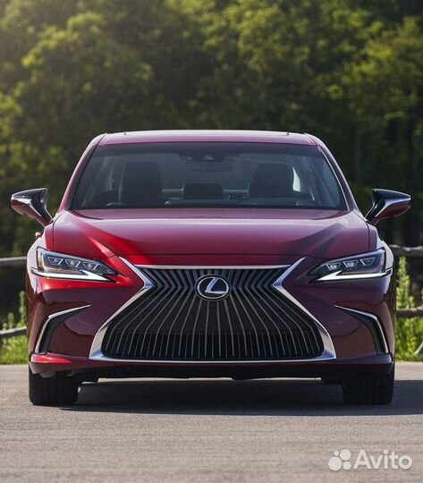 Плёнка для погрузки заднего бампера Lexus ES (VII) (2018)