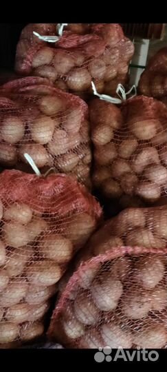 Продам картофель