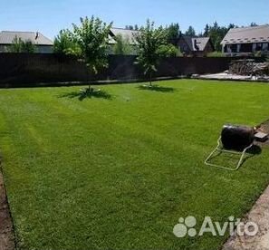 Рулонный газон