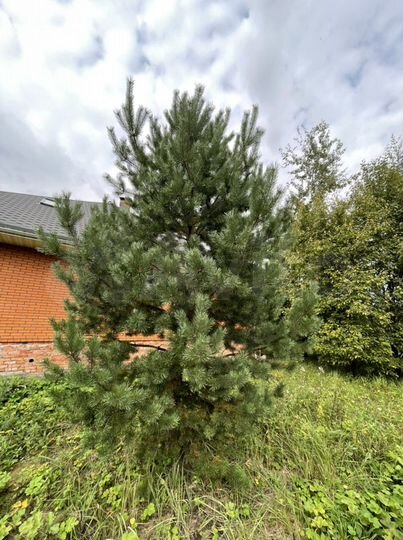 Коттедж 350 м² на участке 34 сот.