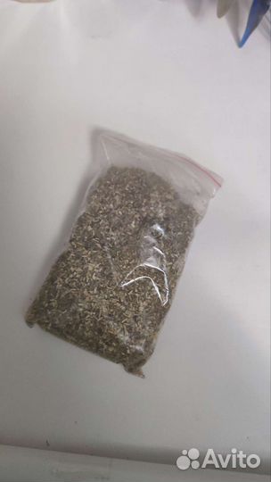 Кошачья мята