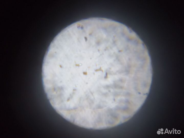 Микроскоп для детей и подростков