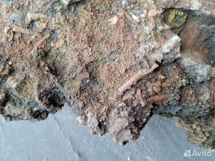 Известняк с включениями