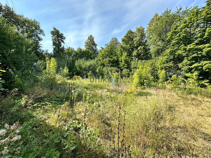 Участок 6,5 сот. (СНТ, ДНП)