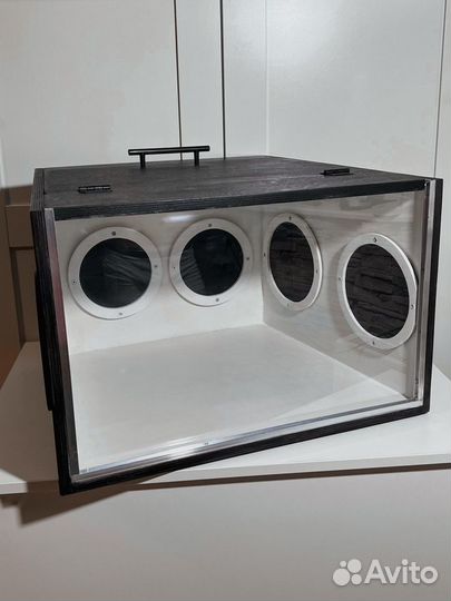 Аренда животных и коробки фанбокс