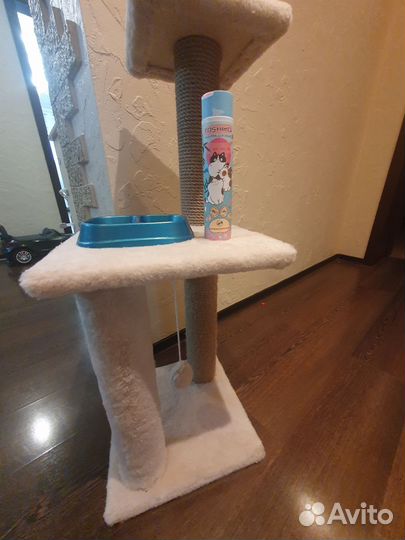 Когтеточка