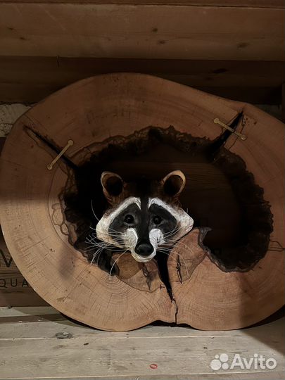 Енот из дерева