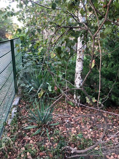 Дача 15 м² на участке 4 сот.