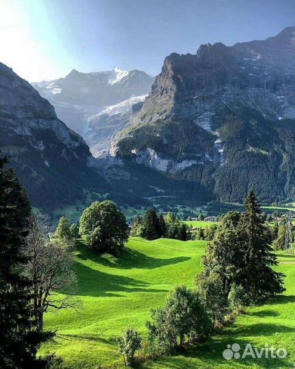 Обработка Озоном