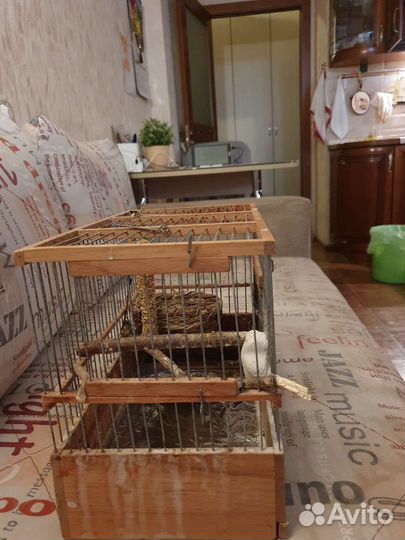 Клетка для попугая