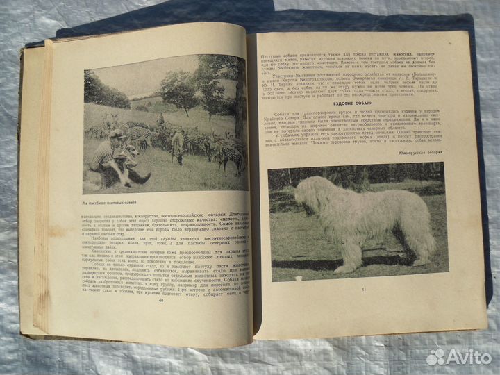 Книги по собаководству