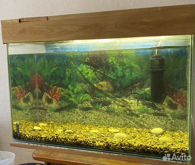 Аквариум