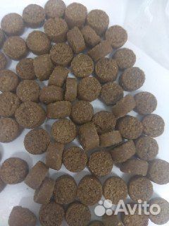 Сухой корм для собак