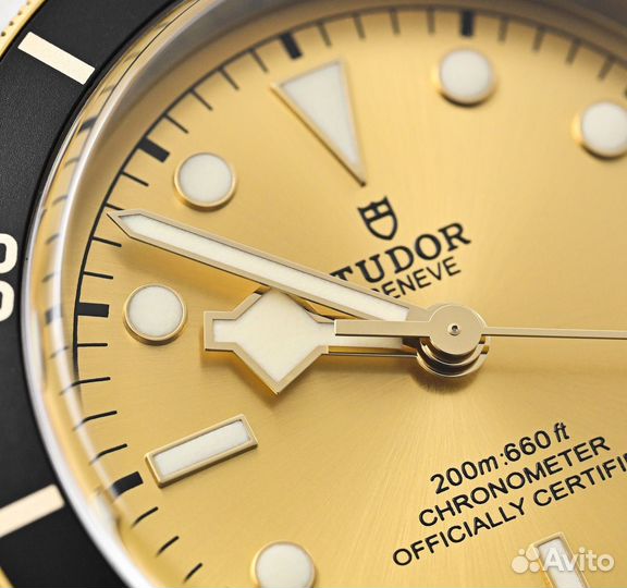 Часы Tudor Black Bay S&G 41mm M79733N-0004