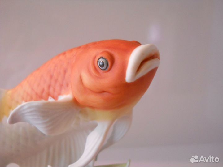 Kaiser фарфоровая рыба (Германия)