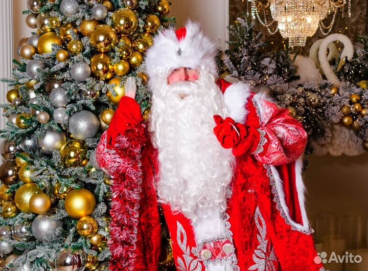 Дед Мороз Снегурочка Мытищи Долгопрудный