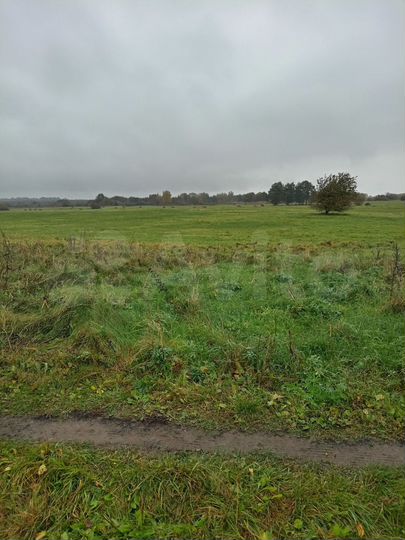 Участок 7,4 сот. (ИЖС)