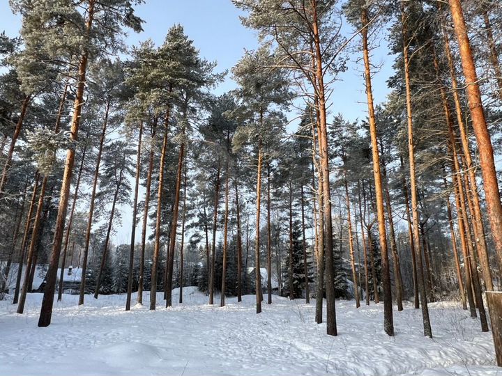 Участок 14 сот. (ИЖС)