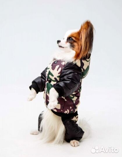 Комбинезон для собак мелких пород
