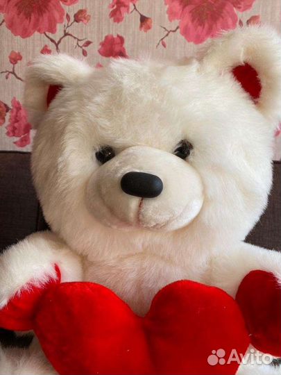 Медведь влюблённый новый