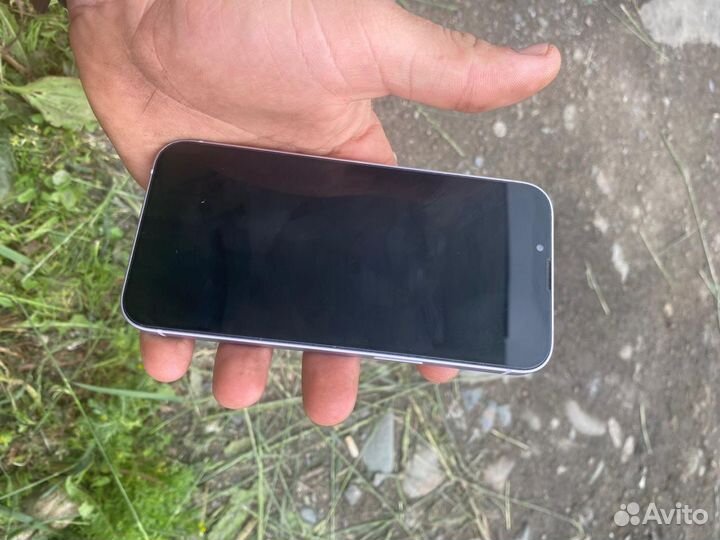 iPhone 14