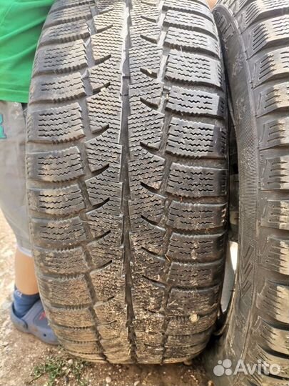 Cordiant Polar SL 205/55 R16