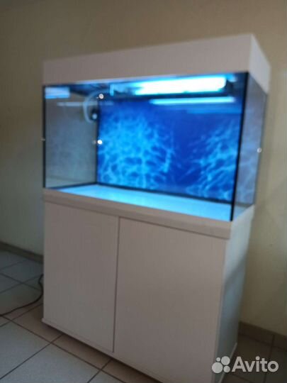 Аквариум 220 свет биофильтр фон подставка