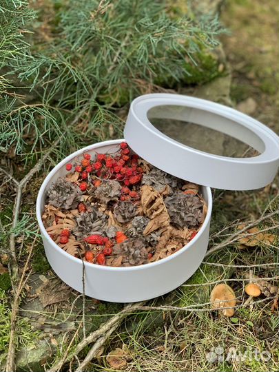 Осенняя композиция