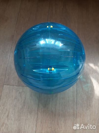 Прогулочный шар для грызуна