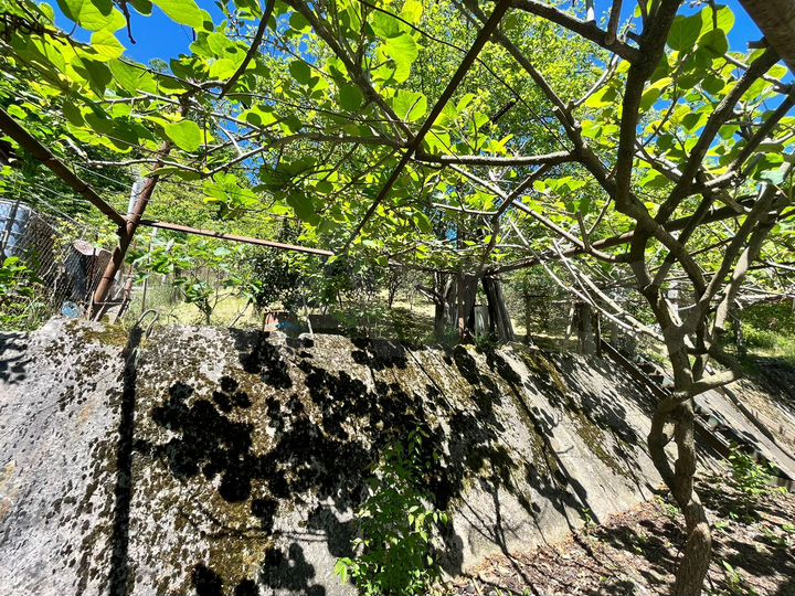 Дом 100 м² на участке 8 сот.