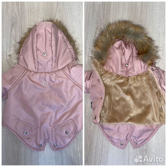 Одежда для собак мелких и средних пород