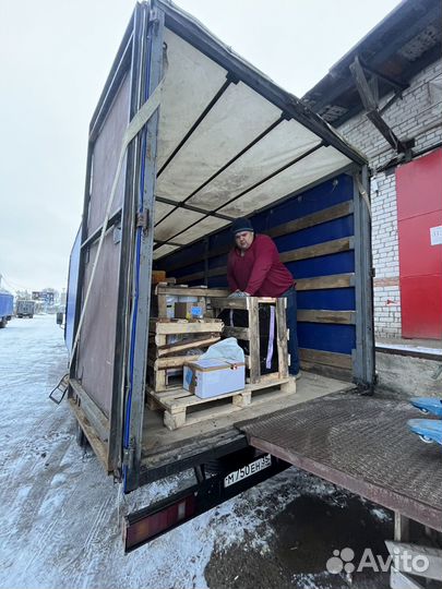 Грузоперевозки Валдай 5 тонн