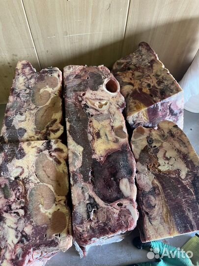 Мясо для собак Говядина Натуральный корм