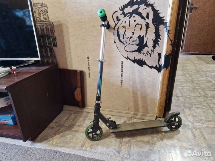 Детский самокат capella s-101