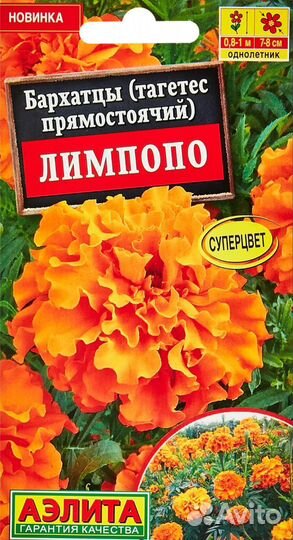 Бархатцы
