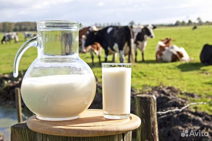 Упаковщик молока Вахта с питанием