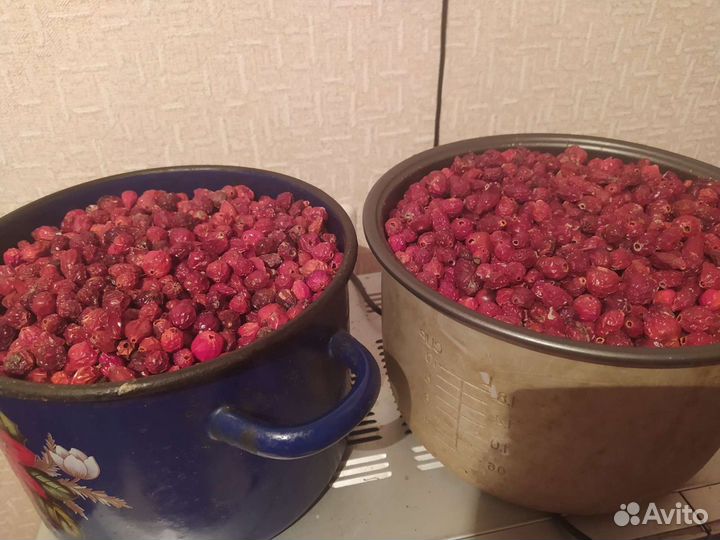 Шиповник сушеный