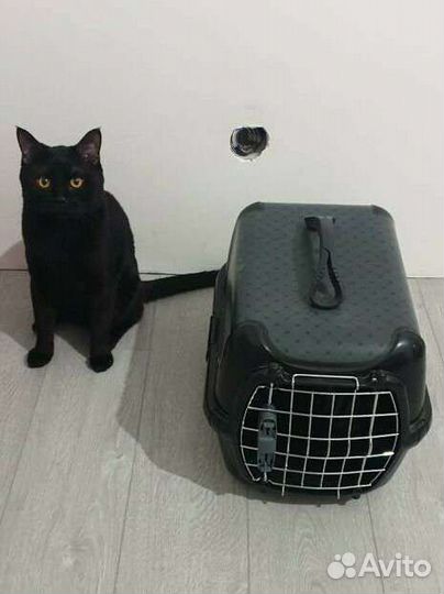 Переноска для кошек и собак