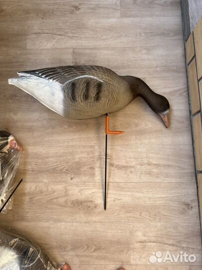 Чучела гусей 20 штук 3D