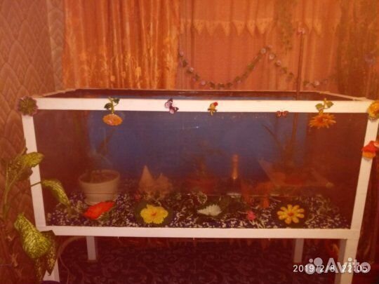 Аквариум