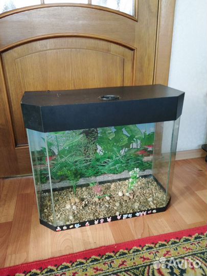 Аквариум