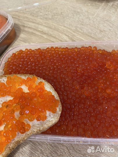 Красная икра 2023