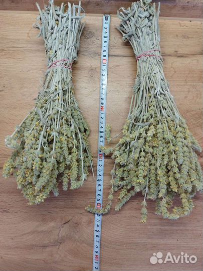 Железница Крымская (лимонник, чабан-чай), для бани