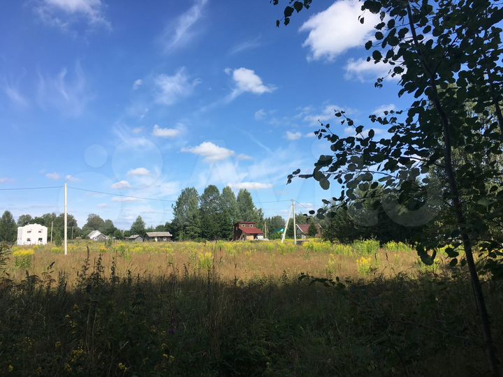Участок 50 сот. (ИЖС)