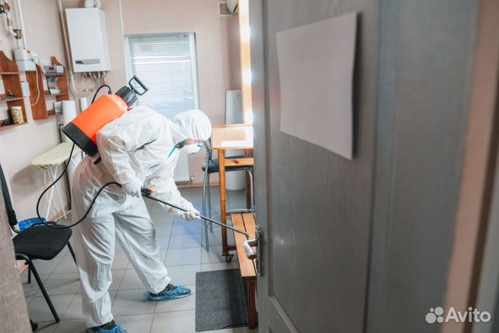 Уничтожение тараканов, клопов, блох, плесени