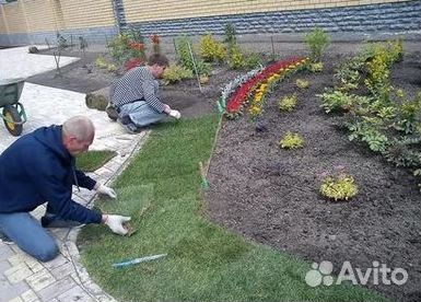 Газон рулонный гарантия