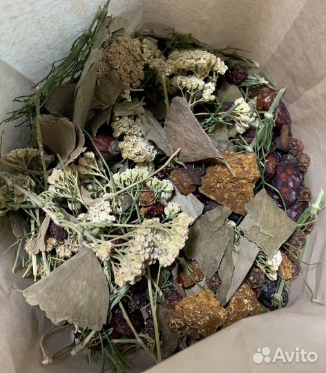 Сбор трав - Алтайской ключ