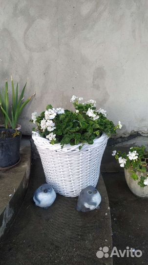 Корзина плетеная